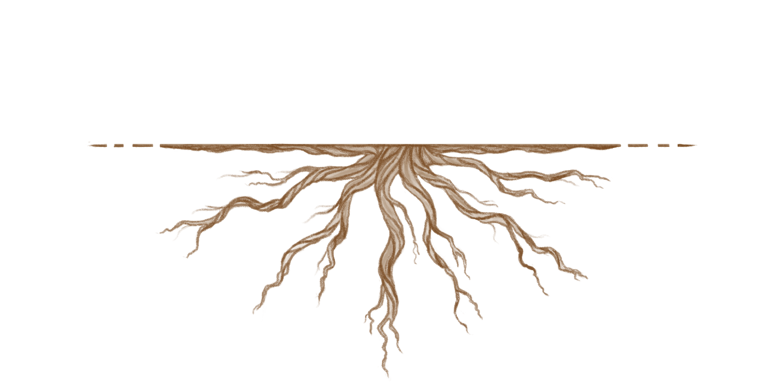 ShatterCane Vineyards Scrolled light version of the logo (Link to homepage)